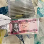 Banknotes Organiser & Collection Box