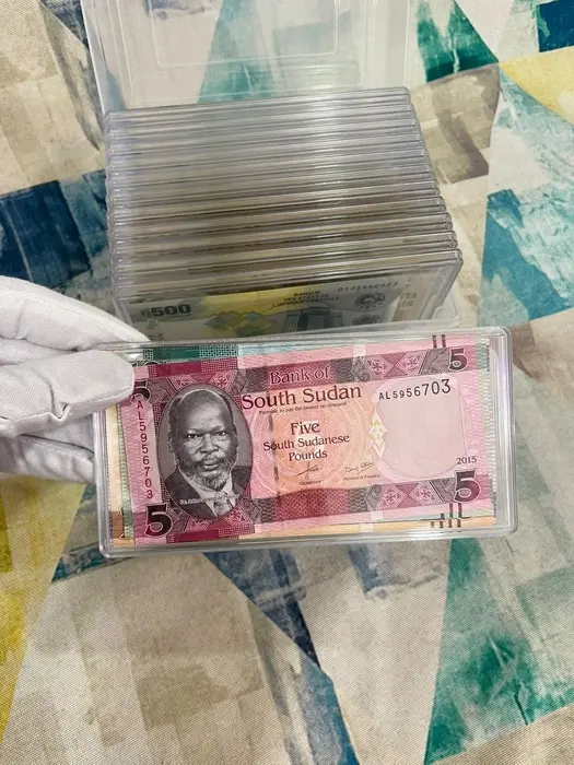 Banknotes Organiser & Collection Box