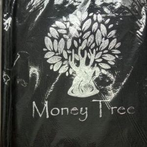 Coins Album Large Size 10 pages / 200 coins cj. Collectible item