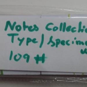 Currency Labels Specimen wise-#109 not stickers