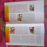 Stamps Of Karnataka Issued By Karnataka Postal Department (Book)
