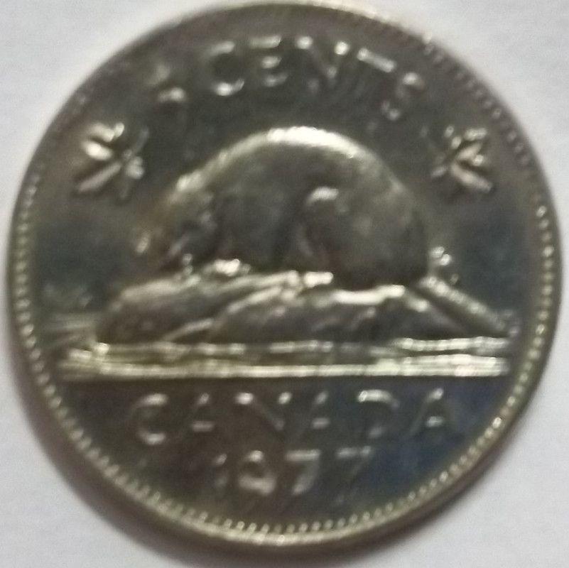 Canada - 5 Cents 1977 Elizabeth II D.G Regina Used - Coin