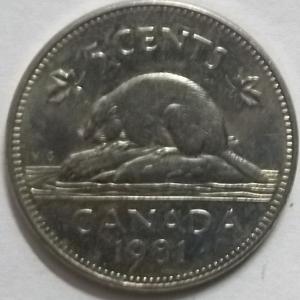 Canada - 5 Cents 1981 Elizabeth II D.G Regina Used - Coin
