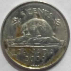 Canada - 5 Cents 2009 Elizabeth II D.G Regina Used - Coin
