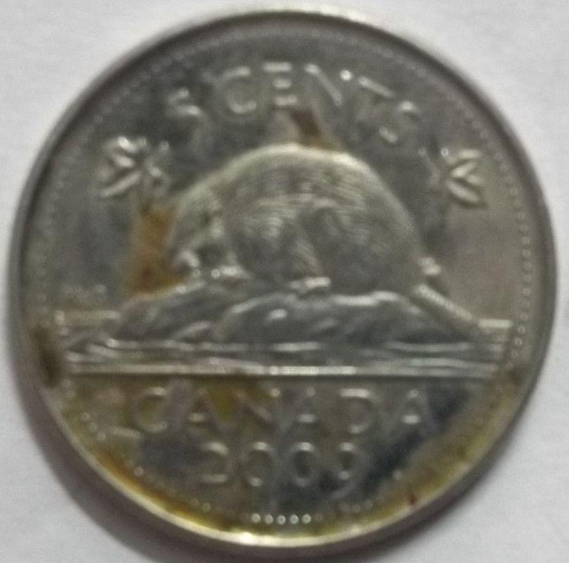 Canada - 5 Cents 2009 Elizabeth II D.G Regina Used - Coin