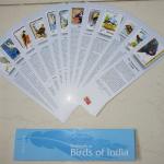 India - Bookmarks Depicting Stamps Birds of India Theme-Set 1. Collectible item