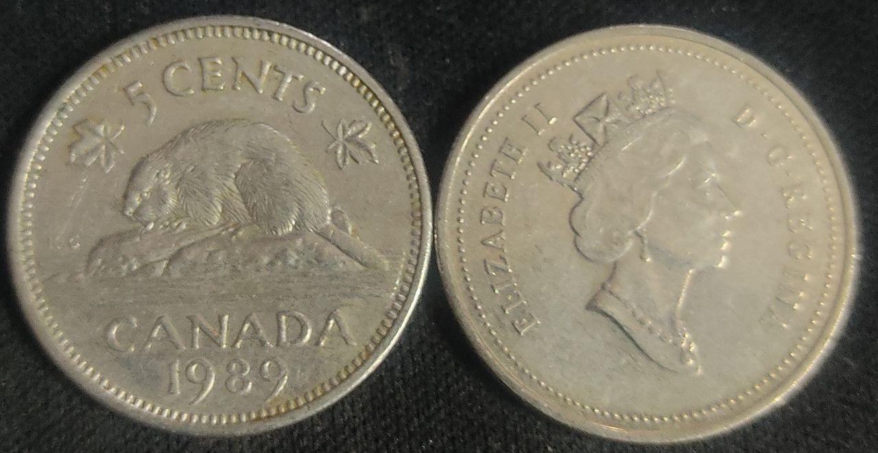 Canada - 5 Cents 1989 Elizabeth II D.G Regina - Coin