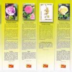Bookmarks Depicting Stamps Flowers Theme-Set 1. Collectible item