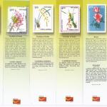 Bookmarks Depicting Stamps Flowers Theme-Set 1. Collectible item