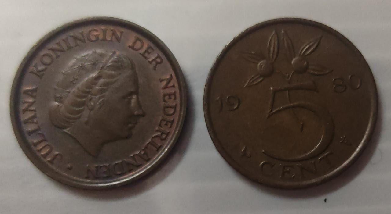 Netherlands-5 Cent 1980 (Used) - Coin