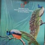 India - National Bird Of India-The Peacock (Souvenir Coin)