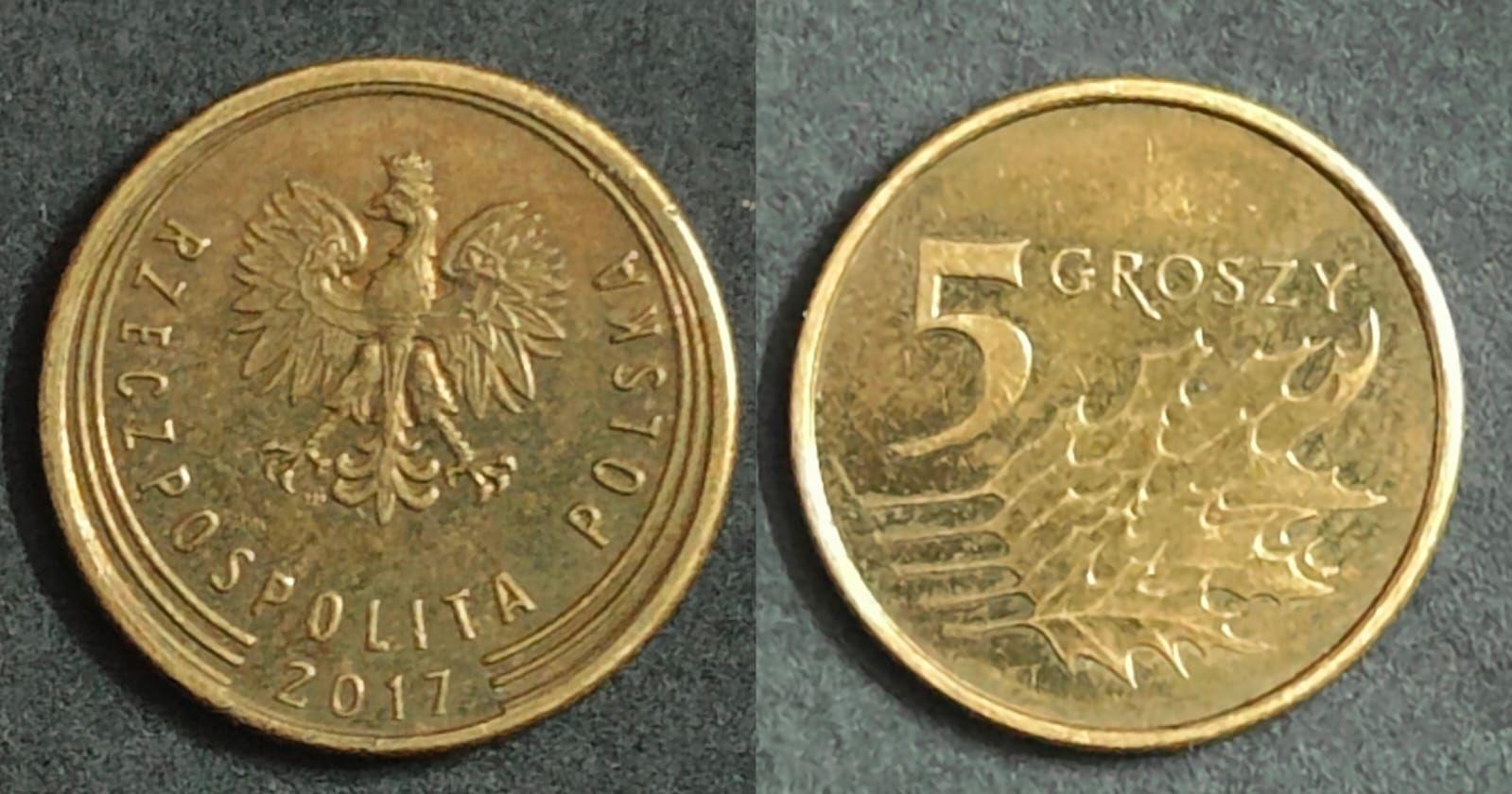 Poland 2017 5 WHITE-TAILED EAGLE Groszy Used Coin