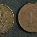 Poland 1998 1 WHITE-TAILED EAGLE Grosz Coin - Republic of Poland Used Coin