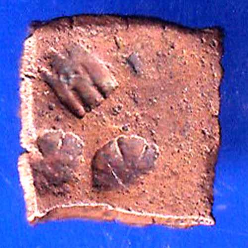 Ancient India Small Copper Punchmark ANH2751