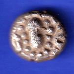 ANCIENT INDIA GADHAYA DYNASTY KING PORTRAIT COIN HSK380