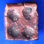 Ancient India Small Copper Punchmark ANH2600