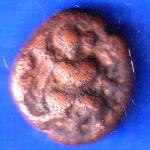 SOUTH INDIA COPPER COIN ANH2609