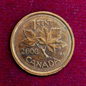 Canada 1 Cent - Elizabeth II 2000 Coin