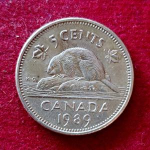 Canada 5 Cents - Elizabeth II 1989 Coin