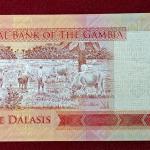 Gambia 5 Dalasis  2015 Banknote