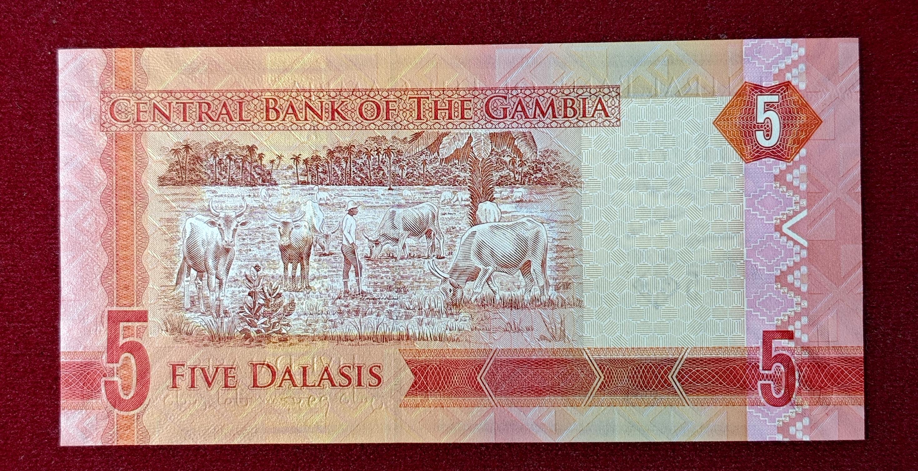 Gambia 5 Dalasis  2015 Banknote