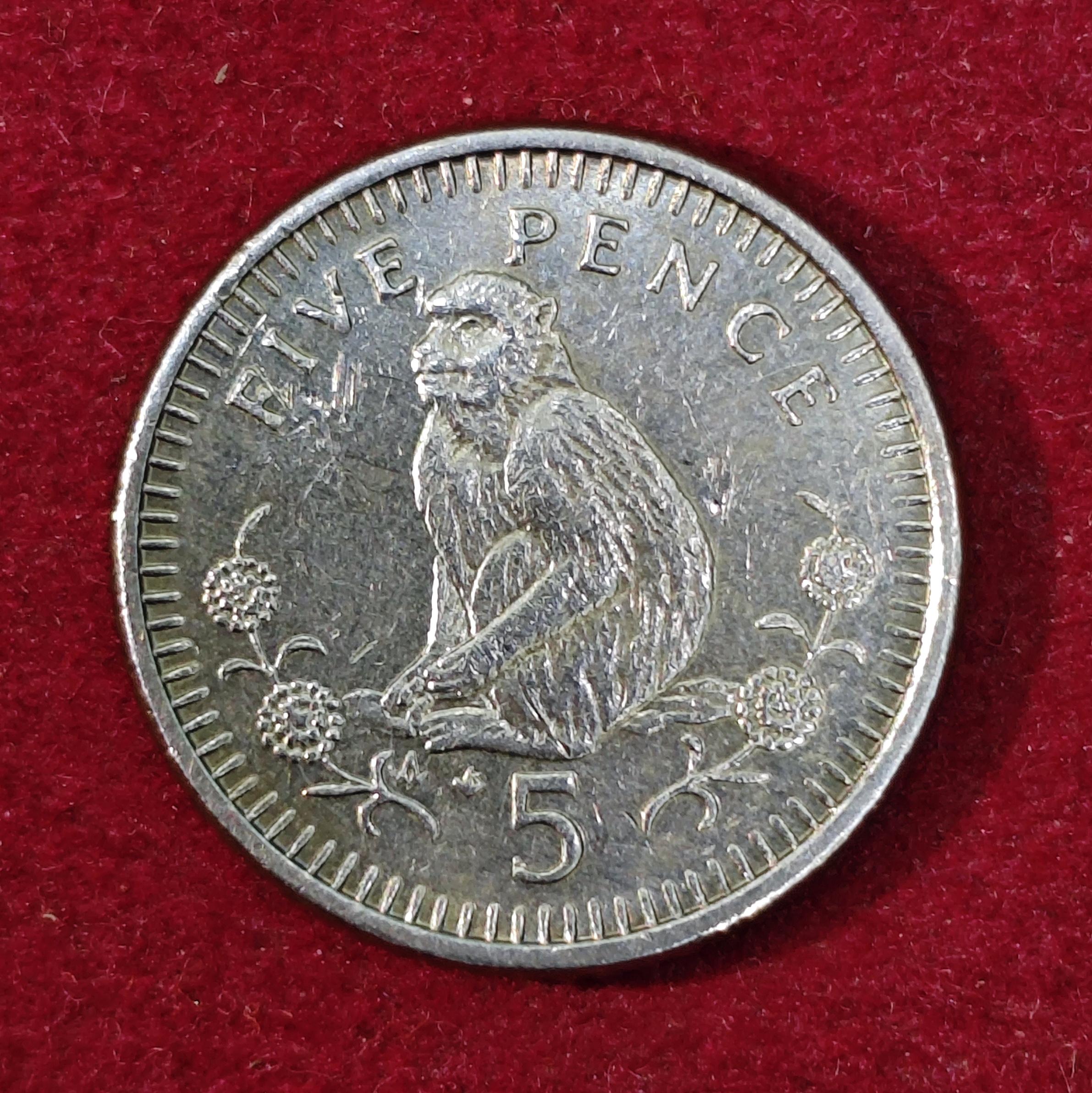 Gibraltar 5 Pence - Elizabeth II 1991 Coin