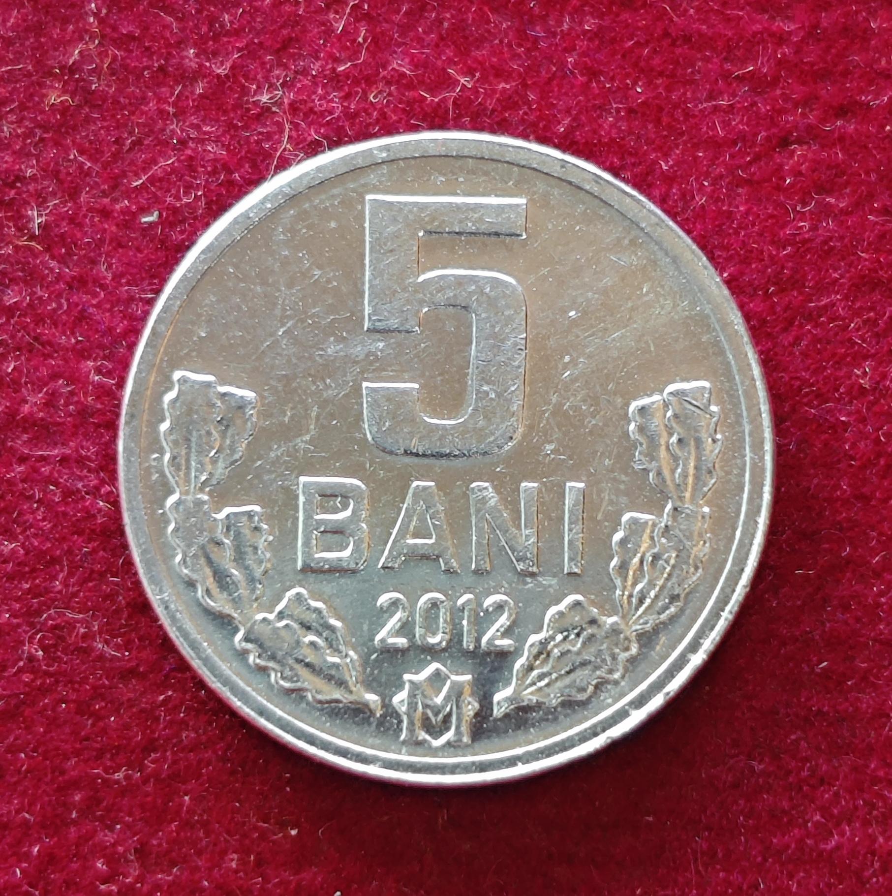 Moldova 5 Bani 2012 Coin