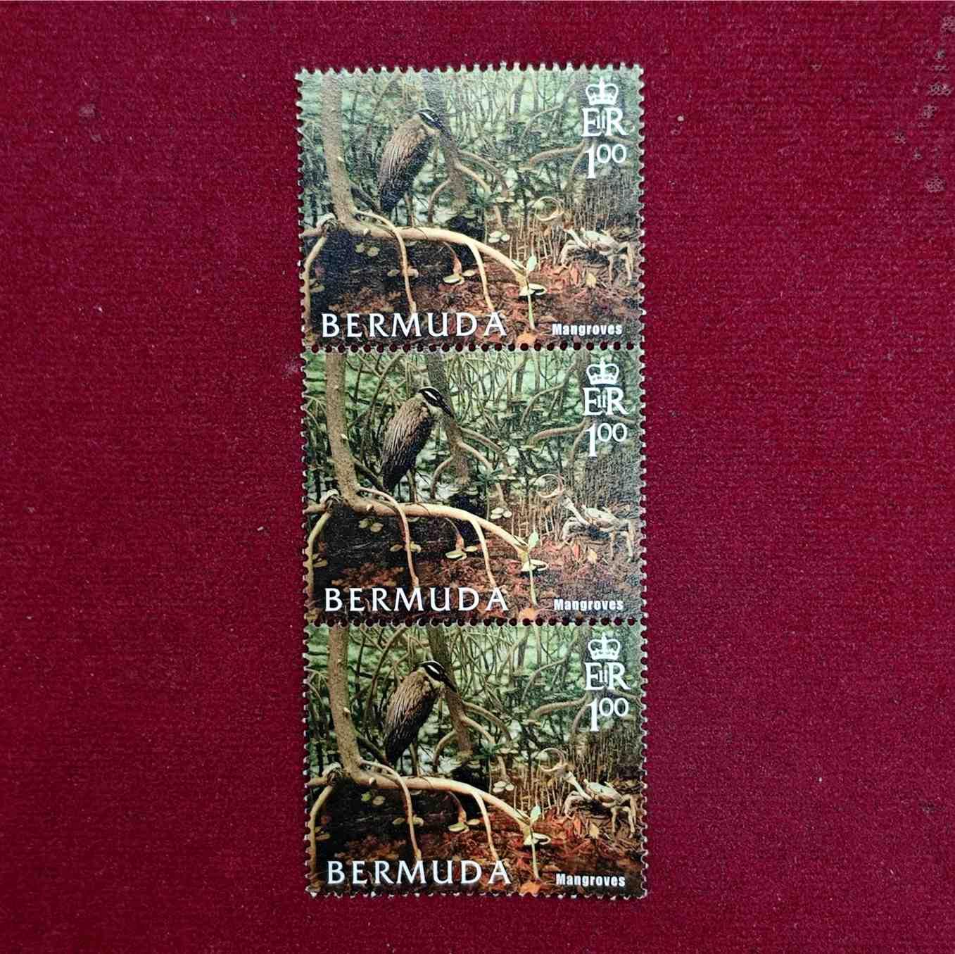 Stamp - Bermuda Mangroves 2005 (3V Stamps)