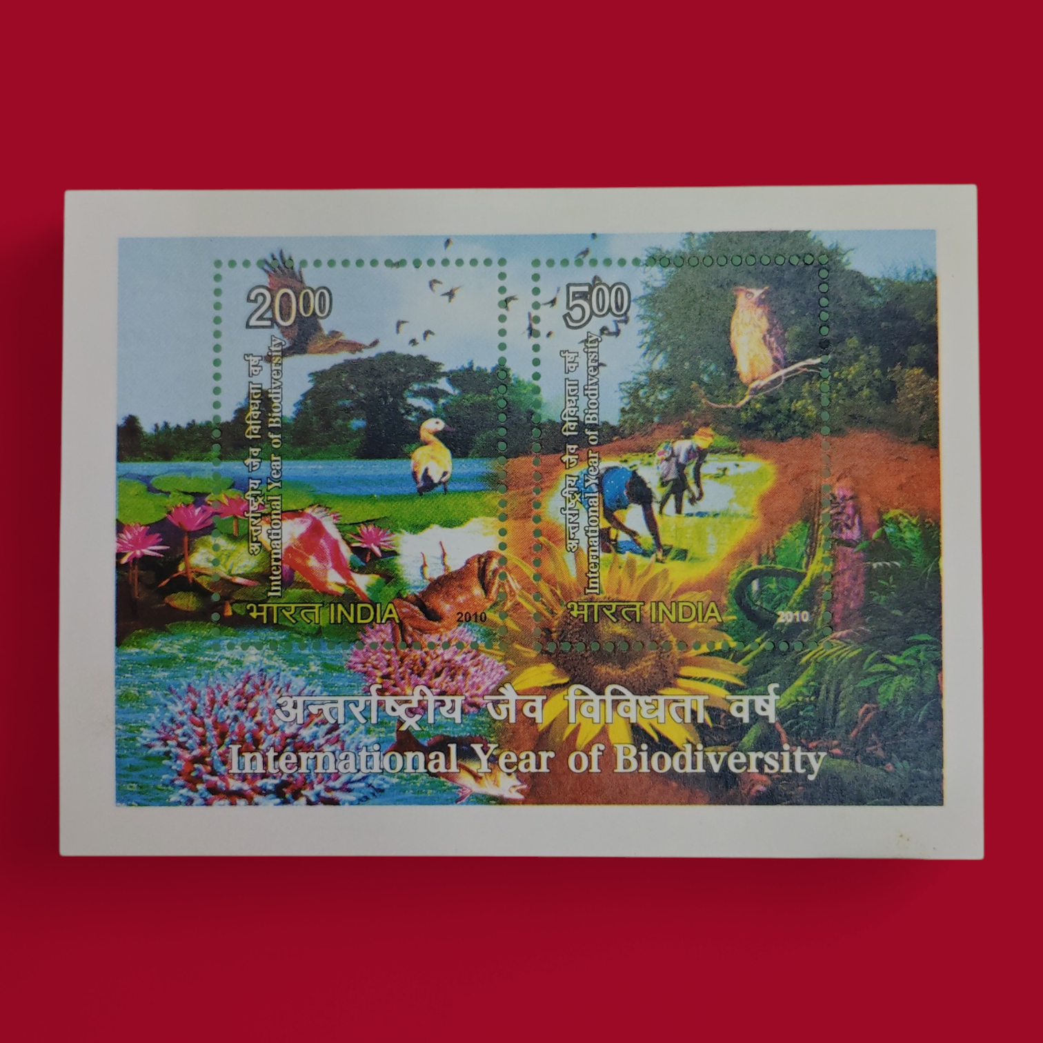 Stamp - India 2010 International Year Of Biodiversity Miniature Sheet