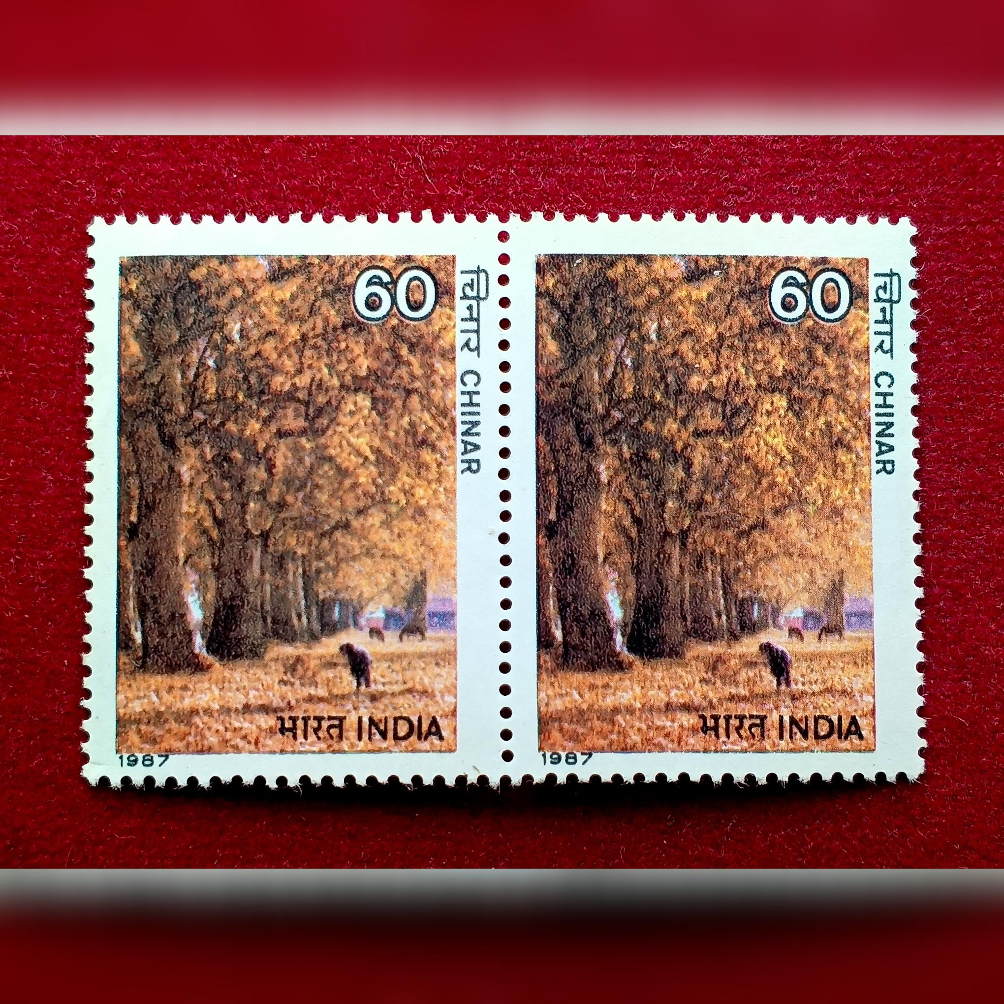 Stamps 1987 Chinar Block of 2
