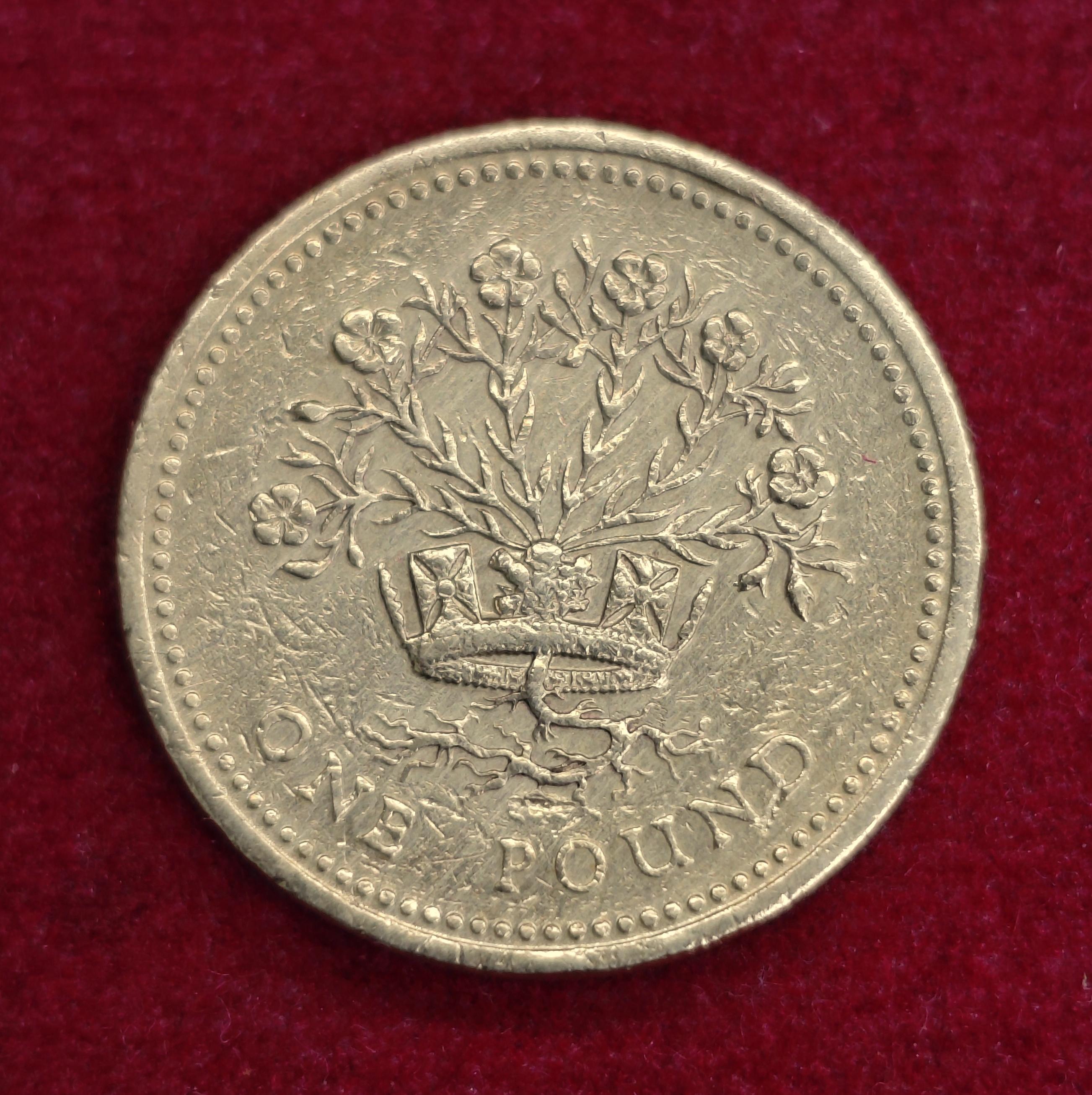 UK 1 Pound - Elizabeth II - Northern Irish Flax Coin