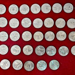 United States (USA) 1/4 Dollar “Washington Quarter” 50 Coins Roll (Loose Coins)